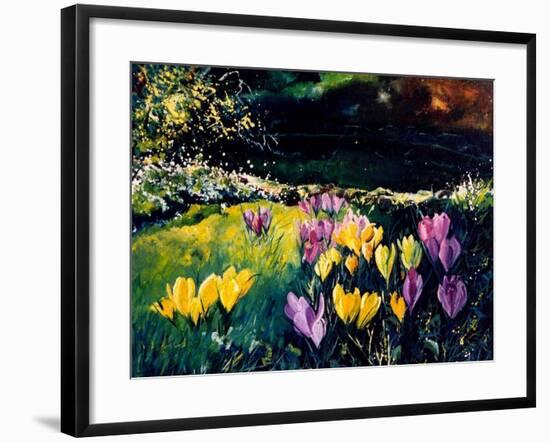 Crocusses-Pol Ledent-Framed Art Print