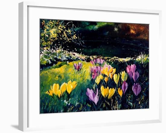 Crocusses-Pol Ledent-Framed Art Print