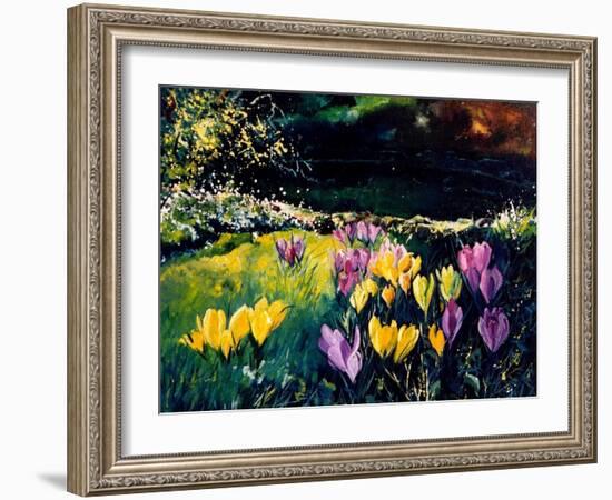 Crocusses-Pol Ledent-Framed Art Print