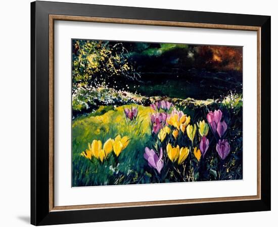 Crocusses-Pol Ledent-Framed Art Print