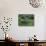 Croft with Hay Cocks and Tractor, Glengesh, County Donegal, Eire (Republic of Ireland)-Duncan Maxwell-Photographic Print displayed on a wall