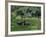 Croft with Hay Cocks and Tractor, Glengesh, County Donegal, Eire (Republic of Ireland)-Duncan Maxwell-Framed Photographic Print