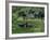 Croft with Hay Cocks and Tractor, Glengesh, County Donegal, Eire (Republic of Ireland)-Duncan Maxwell-Framed Photographic Print