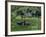 Croft with Hay Cocks and Tractor, Glengesh, County Donegal, Eire (Republic of Ireland)-Duncan Maxwell-Framed Photographic Print