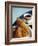 Croissant and Black Coffee on Table, St. Martin, Caribbean-Greg Johnston-Framed Photographic Print