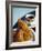 Croissant and Black Coffee on Table, St. Martin, Caribbean-Greg Johnston-Framed Photographic Print