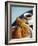 Croissant and Black Coffee on Table, St. Martin, Caribbean-Greg Johnston-Framed Photographic Print