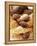 Croissants and Muffins, South Africa, Africa-Yadid Levy-Framed Premier Image Canvas