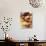 Croissants and Muffins, South Africa, Africa-Yadid Levy-Photographic Print displayed on a wall