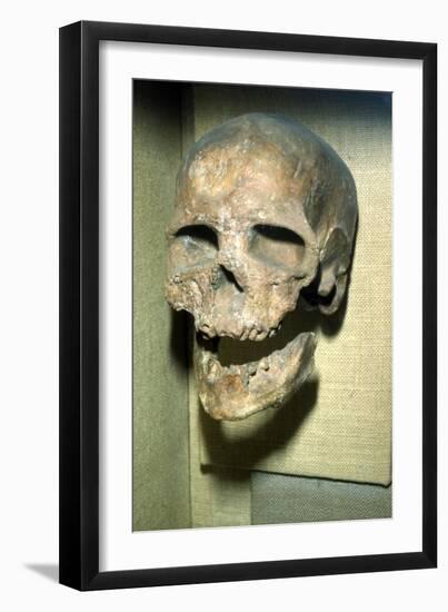 Cromagnon Skull Upper Paleolithic from France, c50,000BC-c10,000 BC-Unknown-Framed Giclee Print