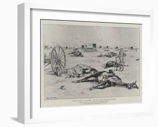 Cronje's Stand at Paardeberg, the Boer Laager, Wrecked by Lyddite-Ralph Cleaver-Framed Giclee Print