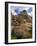 Crooked River Petroglyph-Steve Terrill-Framed Photographic Print