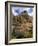 Crooked River Petroglyph-Steve Terrill-Framed Photographic Print