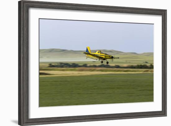 Crop Duster Airplane Spraying Farm Field Near Mott, North Dakota, USA-Chuck Haney-Framed Photographic Print