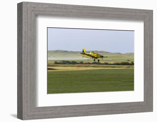 Crop Duster Airplane Spraying Farm Field Near Mott, North Dakota, USA-Chuck Haney-Framed Photographic Print