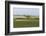 Crop Duster Airplane Spraying Farm Field Near Mott, North Dakota, USA-Chuck Haney-Framed Photographic Print