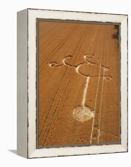 Crop Formation, Cheesefoot, Hampshire-David Parker-Framed Premier Image Canvas