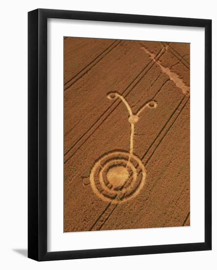 Crop Formation, Cheesefoot, Hampshire-David Parker-Framed Photographic Print