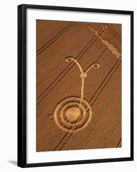 Crop Formation, Cheesefoot, Hampshire-David Parker-Framed Photographic Print