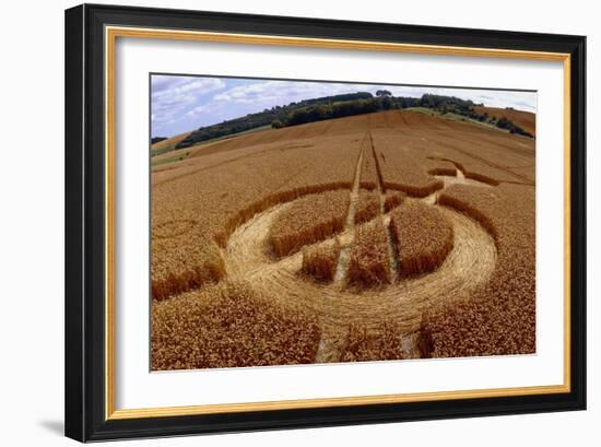 Crop Formation, Cheesefoot, Hampshire-David Parker-Framed Photographic Print