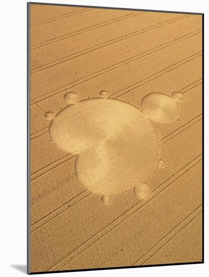 Crop Formation In Form of Mandelbrot Set-David Parker-Mounted Photographic Print