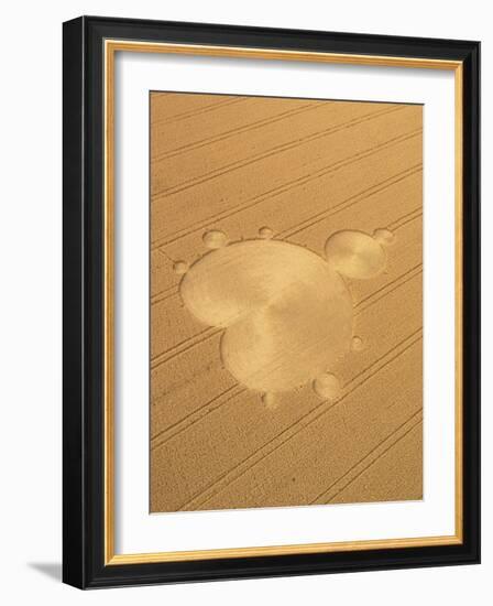 Crop Formation In Form of Mandelbrot Set-David Parker-Framed Photographic Print