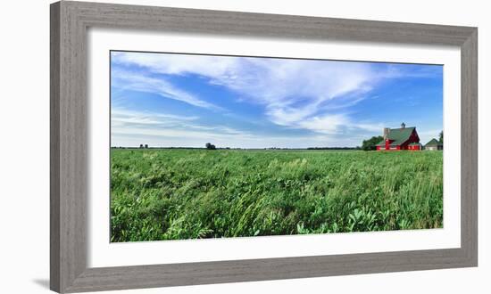 Crop in field with old style barn in the background, Stelle, Ford County, Illinois, USA-Panoramic Images-Framed Photographic Print