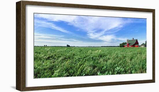 Crop in field with old style barn in the background, Stelle, Ford County, Illinois, USA-Panoramic Images-Framed Photographic Print