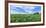 Crop in field with old style barn in the background, Stelle, Ford County, Illinois, USA-Panoramic Images-Framed Photographic Print