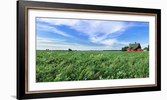 Crop in field with old style barn in the background, Stelle, Ford County, Illinois, USA-Panoramic Images-Framed Photographic Print