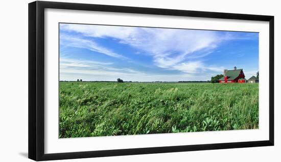 Crop in field with old style barn in the background, Stelle, Ford County, Illinois, USA-Panoramic Images-Framed Photographic Print