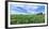 Crop in field with old style barn in the background, Stelle, Ford County, Illinois, USA-Panoramic Images-Framed Photographic Print