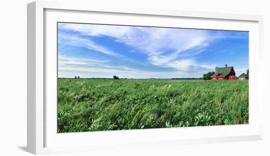 Crop in field with old style barn in the background, Stelle, Ford County, Illinois, USA-Panoramic Images-Framed Photographic Print