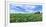 Crop in field with old style barn in the background, Stelle, Ford County, Illinois, USA-Panoramic Images-Framed Photographic Print