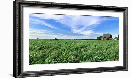 Crop in field with old style barn in the background, Stelle, Ford County, Illinois, USA-Panoramic Images-Framed Photographic Print