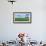 Crop in field with old style barn in the background, Stelle, Ford County, Illinois, USA-Panoramic Images-Framed Photographic Print displayed on a wall