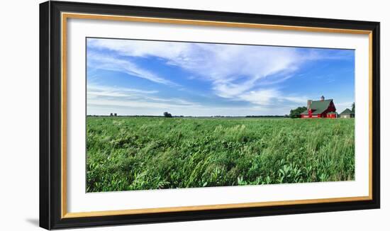 Crop in field with old style barn in the background, Stelle, Ford County, Illinois, USA-Panoramic Images-Framed Photographic Print