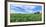 Crop in field with old style barn in the background, Stelle, Ford County, Illinois, USA-Panoramic Images-Framed Photographic Print