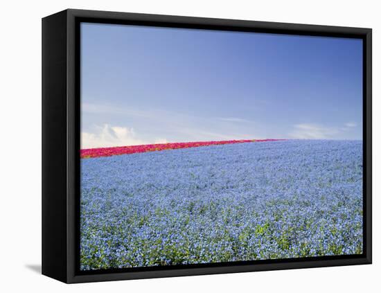 Crop of Flax on Hillside in Rows, Willamette Valley, Oregon, USA-Terry Eggers-Framed Premier Image Canvas