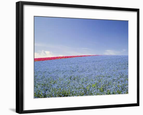 Crop of Flax on Hillside in Rows, Willamette Valley, Oregon, USA-Terry Eggers-Framed Photographic Print