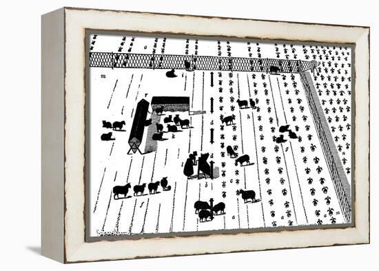 Crop Rotation: Sheep on a Break of Turnips, 1855-null-Framed Premier Image Canvas