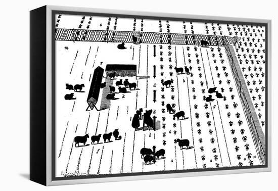 Crop Rotation: Sheep on a Break of Turnips, 1855-null-Framed Premier Image Canvas