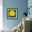 Cropped Garden Flowers II-Laura DeNardo-Framed Photographic Print displayed on a wall