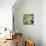 Cropped Garden Leaves I-Laura DeNardo-Photographic Print displayed on a wall