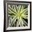 Cropped Garden Leaves I-Laura DeNardo-Framed Photographic Print