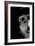 Cropped Portrait of a Man with Hat Starring into the Camera-Torsten Richter-Framed Photographic Print