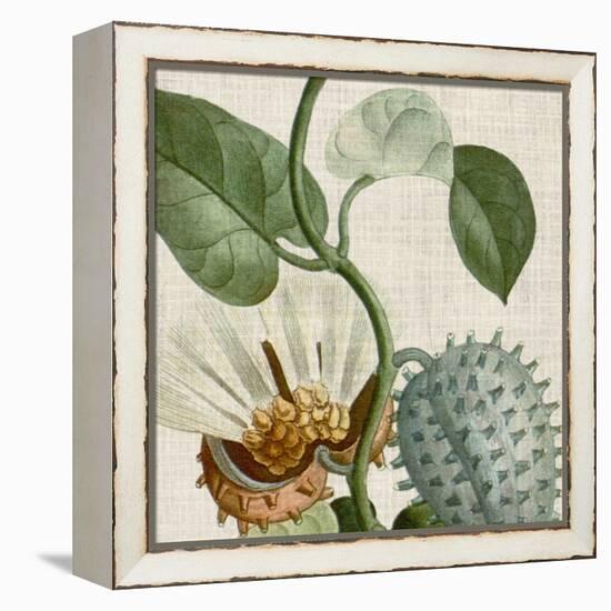 Cropped Turpin Tropicals II-Vision Studio-Framed Stretched Canvas