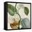 Cropped Turpin Tropicals II-Vision Studio-Framed Stretched Canvas