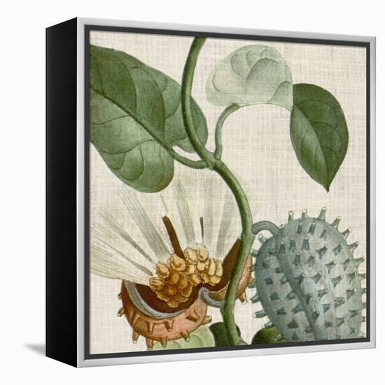 Cropped Turpin Tropicals II-Vision Studio-Framed Stretched Canvas