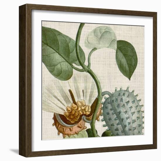 Cropped Turpin Tropicals II-Vision Studio-Framed Premium Giclee Print